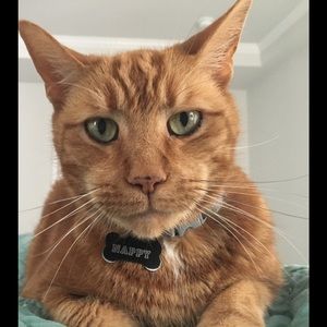 Meet your Posher, Jasmine